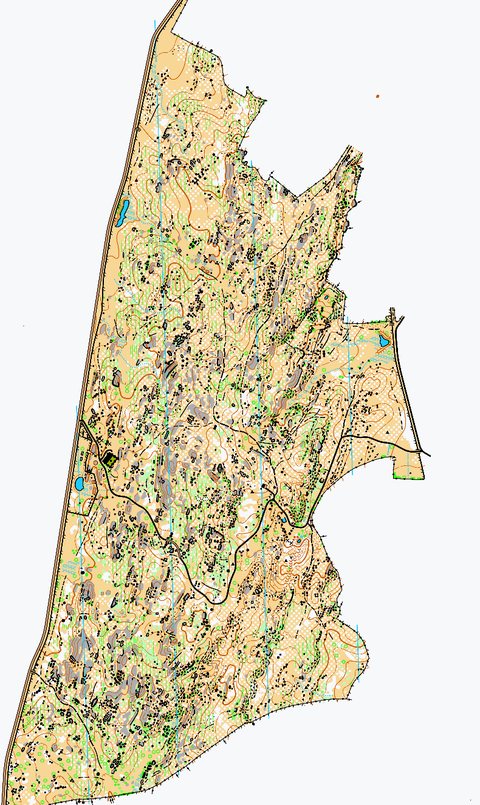 Orienteering map of the Torremocha study area